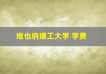 维也纳理工大学 学费